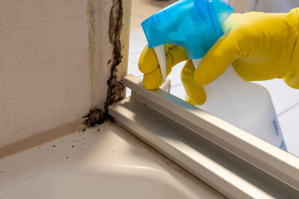 Best Crawl Space Mold Removal  in Glenwood, MN